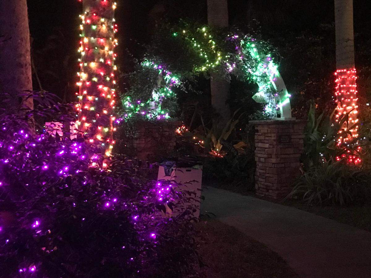 Palma Sola Botanical Park’s free annual Christmas event, “Winter Nights Under the Lights,” returns from Dec. 11-15, 2024.  