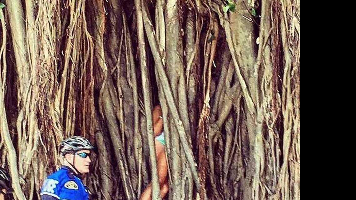 Key West woman climbed into a tree, and it swallowed her