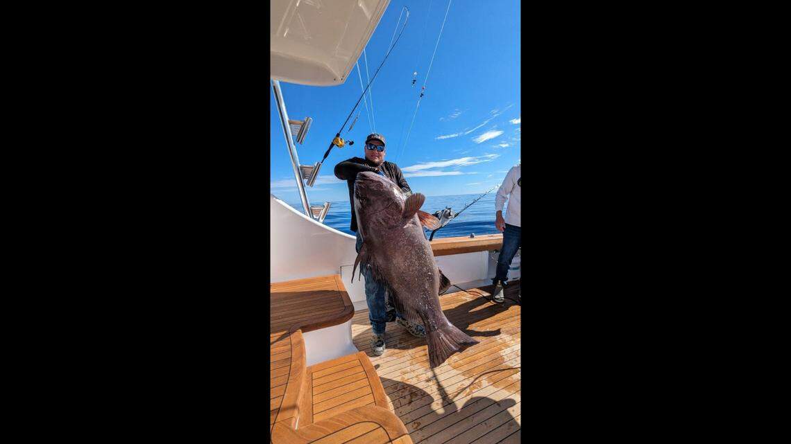 Local charter captain reels in a ‘giant’ catch while fishing in the Gulf of Mexico