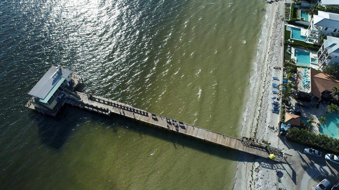 08/12/21—The Florida Department of Health issued red tide advisories along parts of Anna Maria Island Thursday, including the northern tip of the island near Rod and Reel Pier.