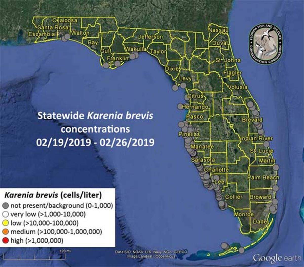 Red tide was not present or at background levels in all water samples collected around the state of Florida this week.