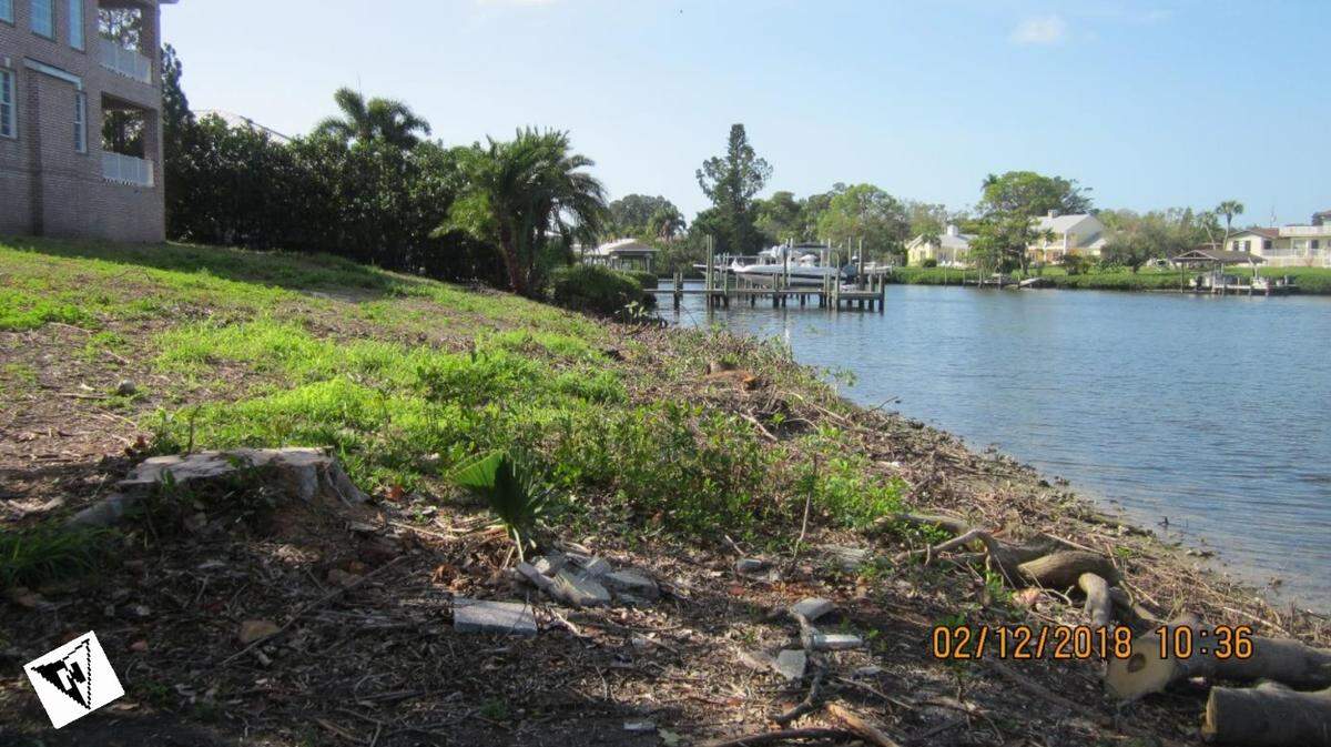 On a second site visit, Florida Department of Environmental Protection personnel found all the waterside vegetation, including mangroves, behind a home in the 700 block of Hillcrest Drive had been removed without a permit.