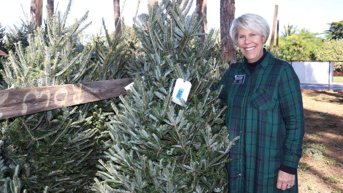 The Boys and Girls Clubs of Manatee County is selling Christmas trees for the 65th year in Bradenton. Shown above is Beth Clark, chief operating officer.