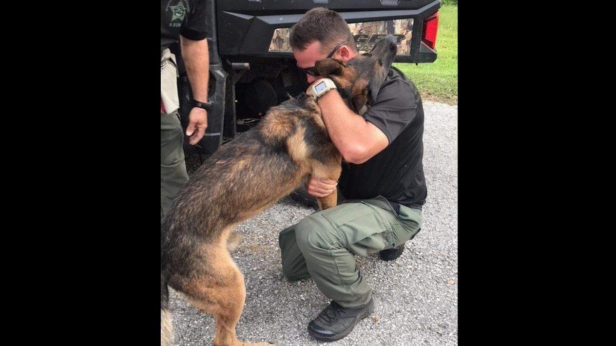 Pictured: Manatee County Sheriff K9 Boss receives an embrace. Boss was missing for most of the day Wednesday after running into the woods near County Road 675 in Parrish.