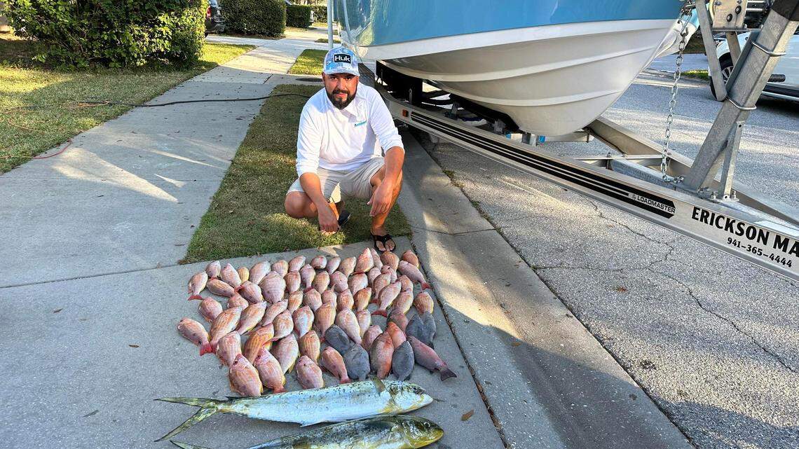 How the El Niño weather pattern creates ‘funny’ fishing patterns in Gulf of Mexico