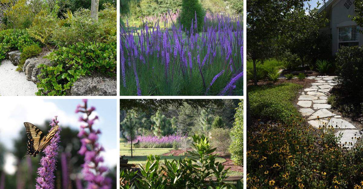 The Florida Native Plant Show is this Thursday and Friday at Bradenton Area Convention Center.