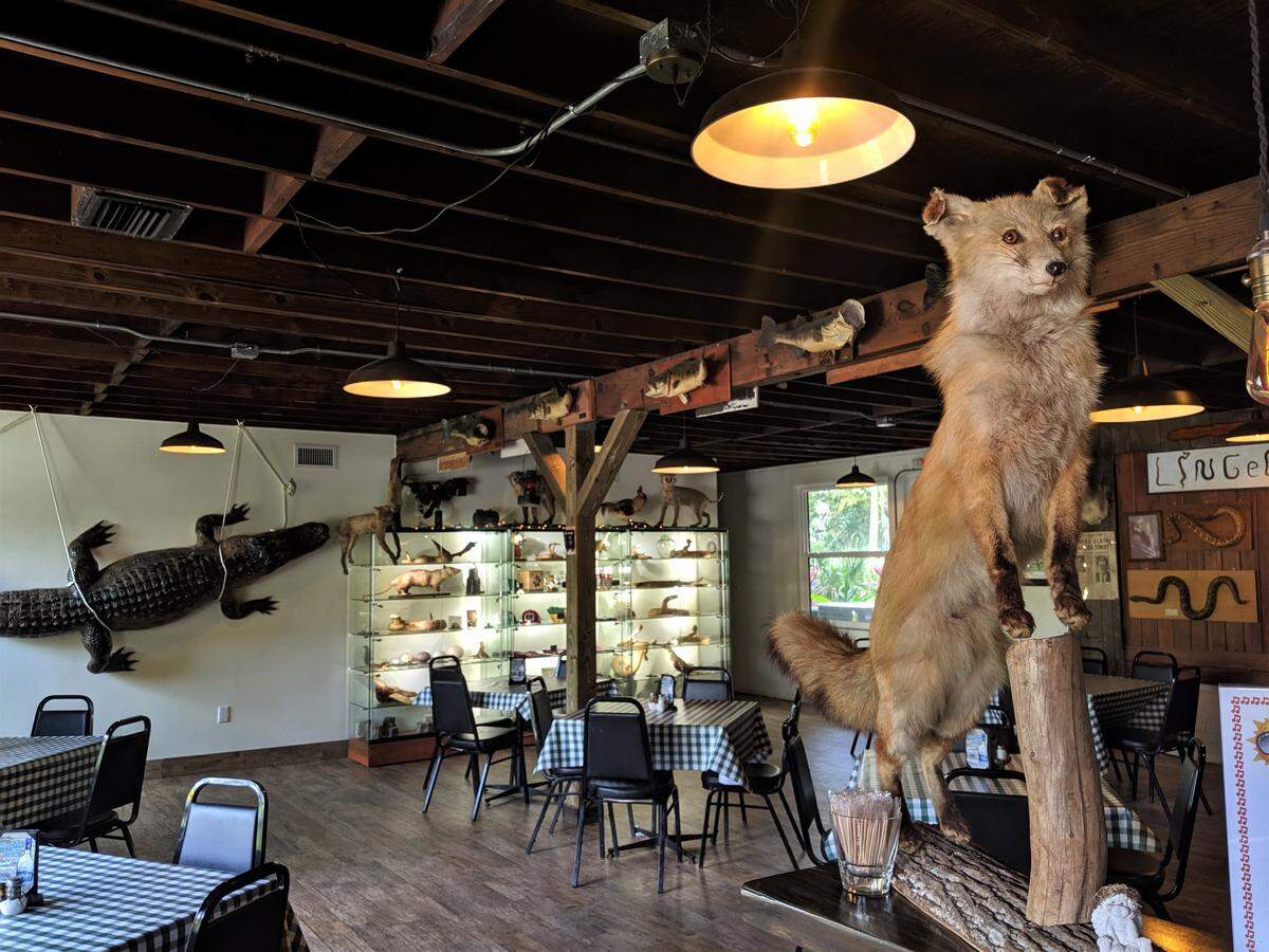 At Linger Lodge, visitors can enjoy a meal with the magnificent critters of the Florida backcountry. 