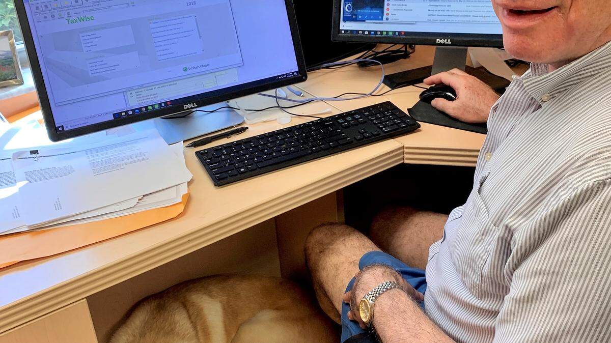 Jim Germer, CPA, and Champ work Saturdays during tax season.