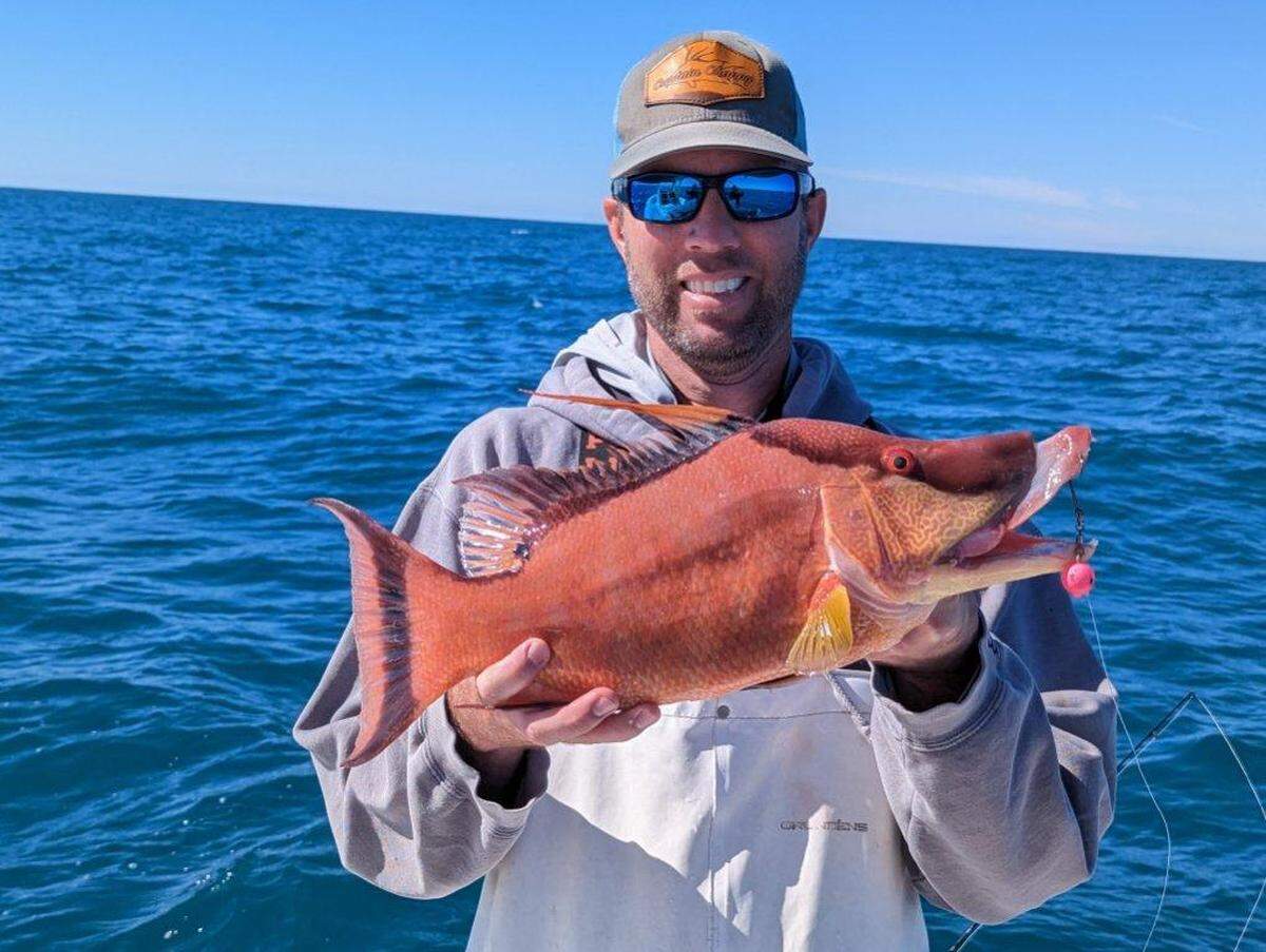 Jon Chapman holds a hogfish he caught in January.