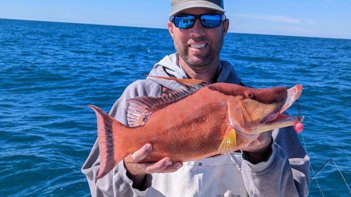 Jon Chapman holds a hogfish he caught in January.