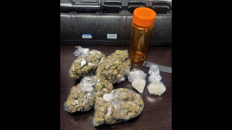 Bradenton police seize drugs in Fourth of July weekend traffic stops, cops say