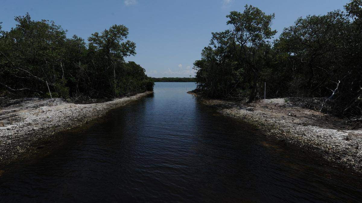A waterway from Perico Preserve opens up into Perico Bayou, a body of water that boarders Robinson Preserve.