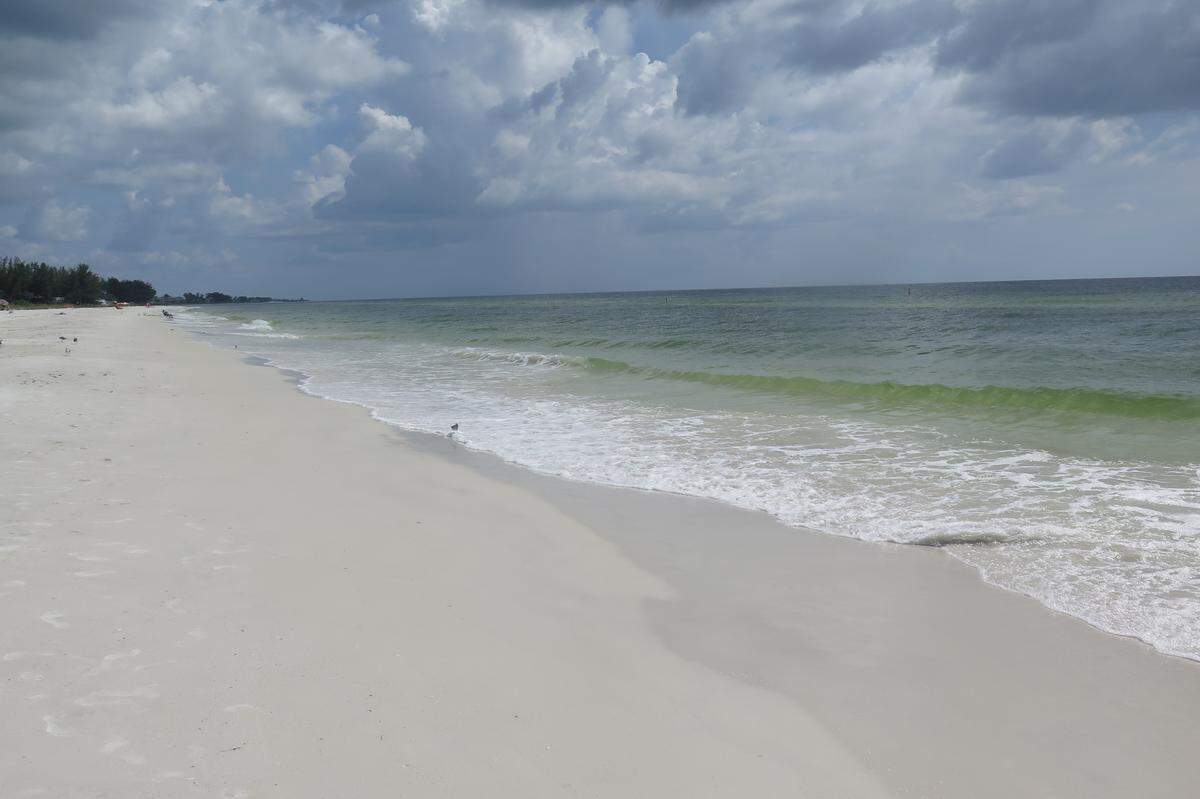 Manatee Public Beach on Wednesday, Sept. 5, saw decreased levels of red tide conditions, but an abrupt shift in wind direction could make things worse again in the coming weeks, researchers say.