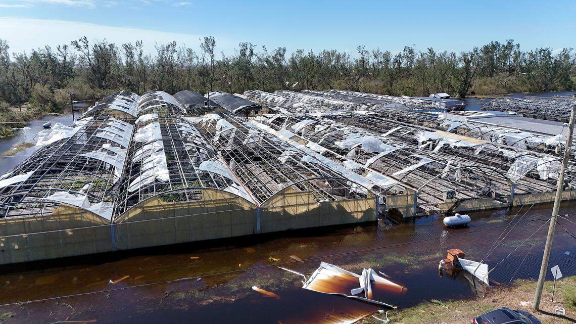 Manatee Fruit’s greenhouses suffered from the storm after Hurricane Milton on Oct. 10, 2024.