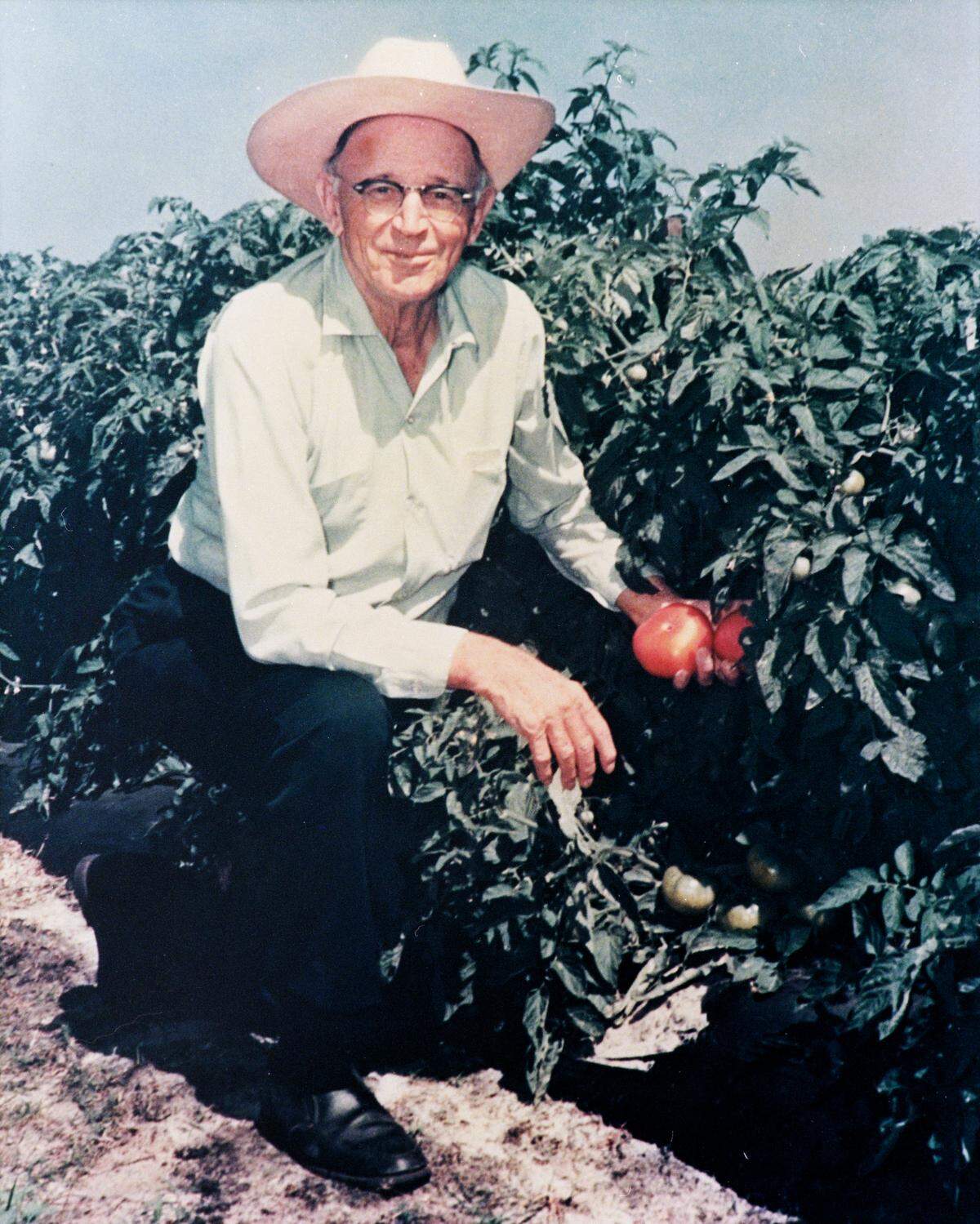 John McClure came to Manatee County from Virginia in the 1920s to work as an agricultural extension agent. He and his son, Dan, began Palmetto’s West Coast Tomato in the 1940s. West Coast Tomato/McClure Family Farms continues to operate today.