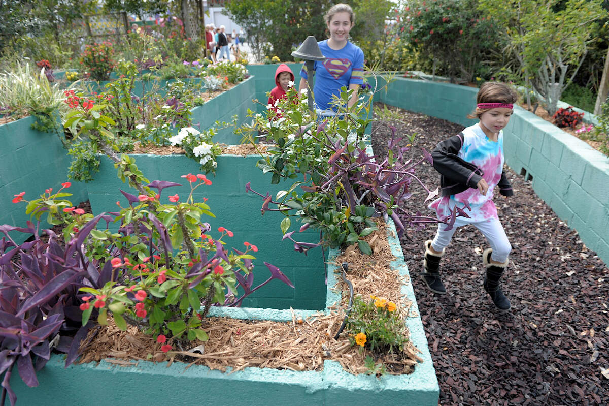 Children run through the maze during the Mixon Fruit Farms Orange Blossom Festival.