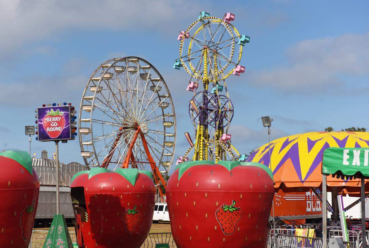 The Manatee County Fair offers 11 days of family-friendly entertainment, including live music, arts and crafts, agricultural exhibits, a petting zoo and a midway full of rides.