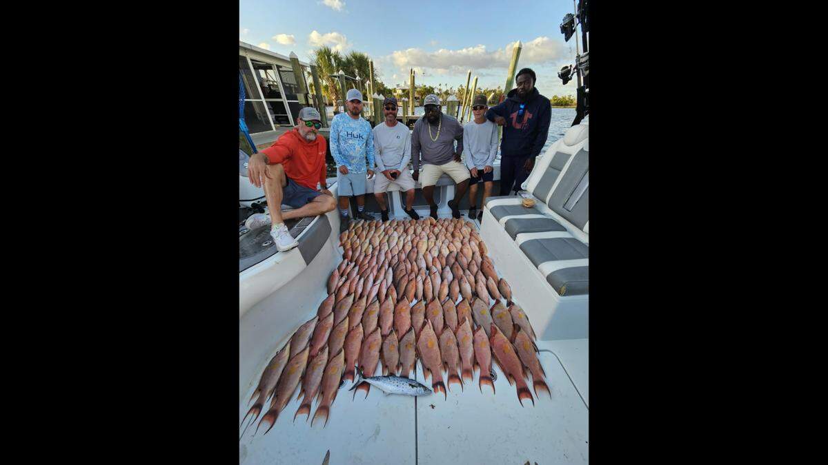 Captain Jacob Brown says colder weather and choppy waters in the Gulf of Mexico lead to ideal conditions for catching different fish. He recently led a fishing trip that yielded dozens of hogfish.