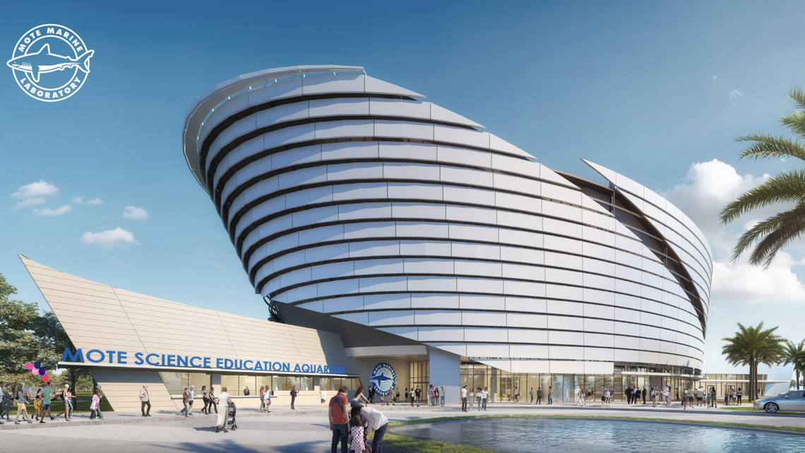 Focus on Manatee | Mote Marine is a world-leader in our own backyard