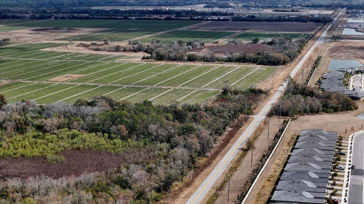 Lennar Homes LLC proposed a rezone of over 680 acres of agricultural land, shown below green potato fields, near Buckeye Road to build about 2,000 single-family homes in Manatee County. on Feb. 12, 2026.