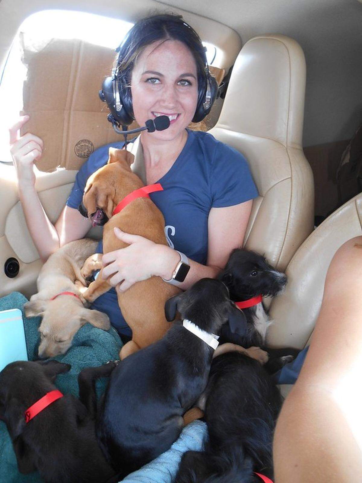 Rachel Bassett, a graduate of Manatee High School, was volunteering with Orange County Animal Services when she was invited aboard a puppy rescue flight that brought 24 dogs to Florida from various rescues in Alabama over the weekend.