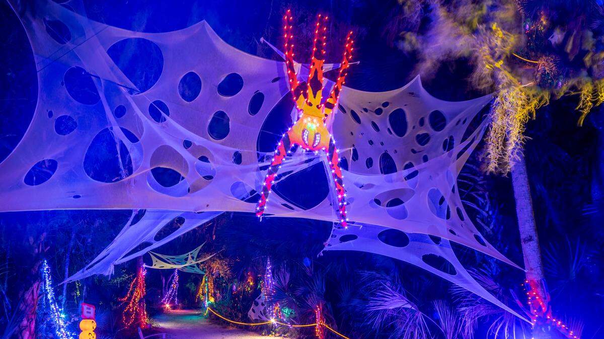 Fantastical illuminated scenes await guests at Marie Selby Botanical Gardens’ Lights at Spooky Point, running Oct. 3-Nov. 1, 2025 at the Historic Spanish Point Campus in Osprey.