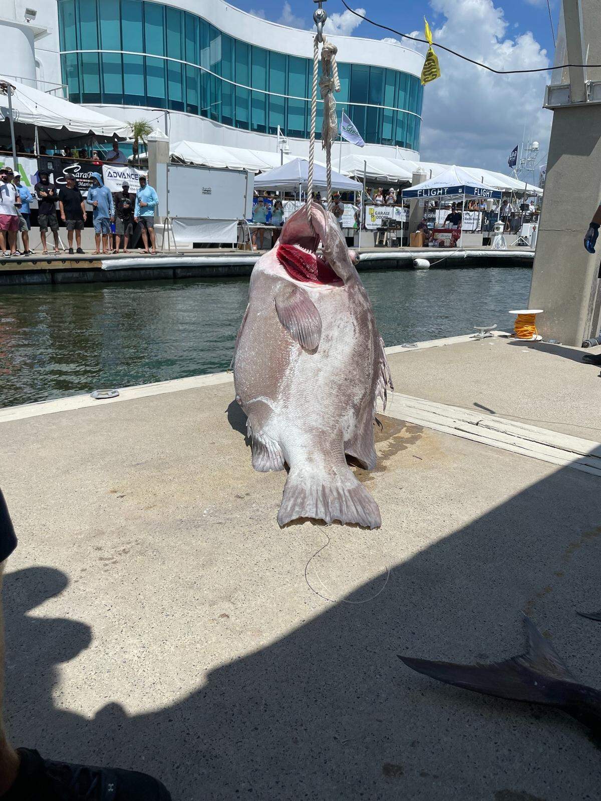 Brian Bower’s Team Plan B won first place in the Warsaw grouper category after reeling in a 212-pound catch during the 2023 Sarasota Slam fishing tournament.