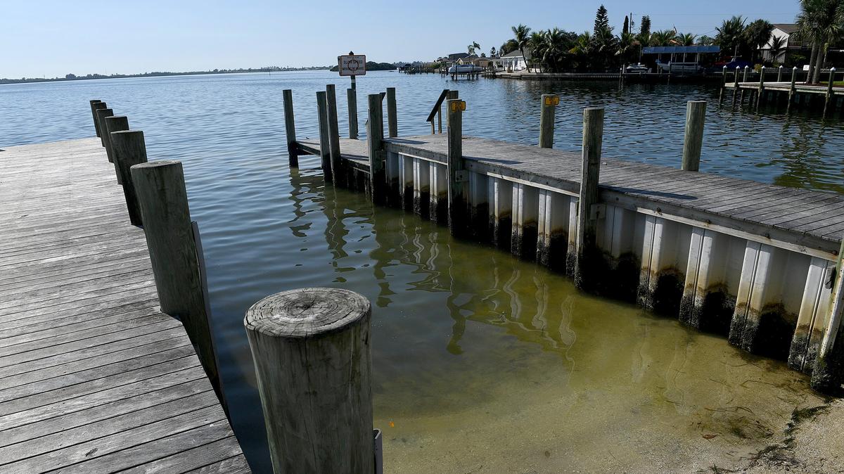 About a decade ago, Manatee County wanted to build a boat ramp at Palma Sola Causeway, but the city found out they could do it cheaper so the county asked them to build it and they would take it over, but it’s taken this long for them to do it. The county will take full time responsibility for maintenance and improvements as of Jan. 1.