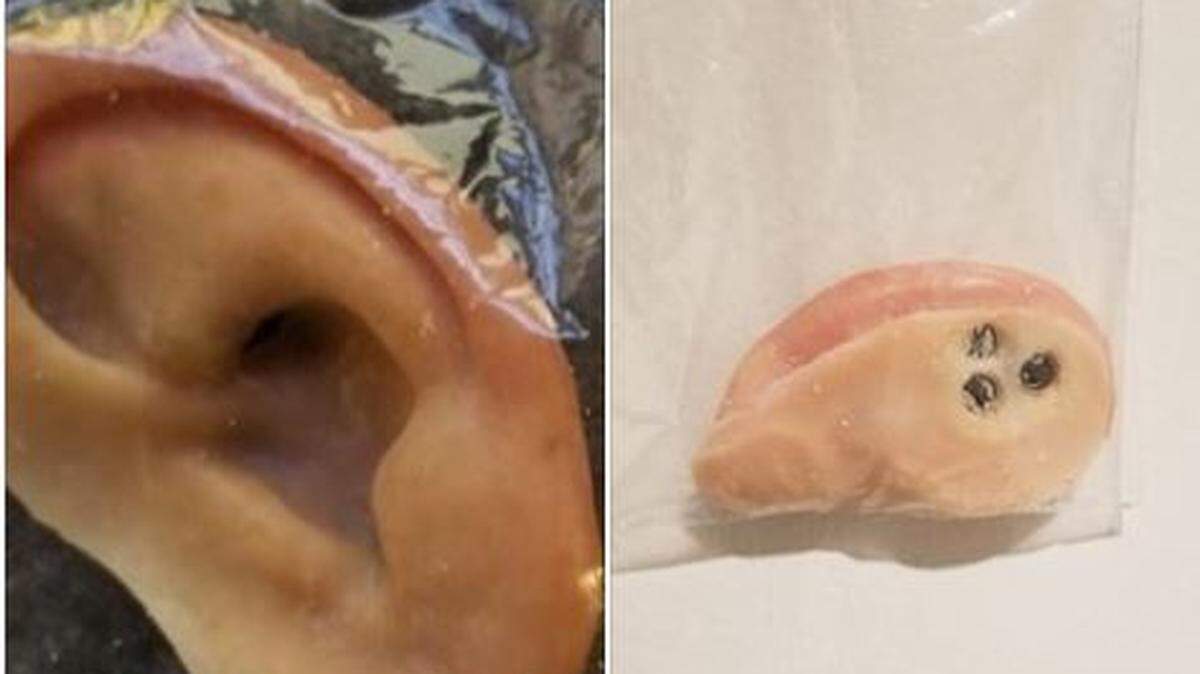 Someone lost a prosthetic ear during the World’s Strongest Man competition at Manatee Public Beach on Saturday. The police are trying to locate the owner.