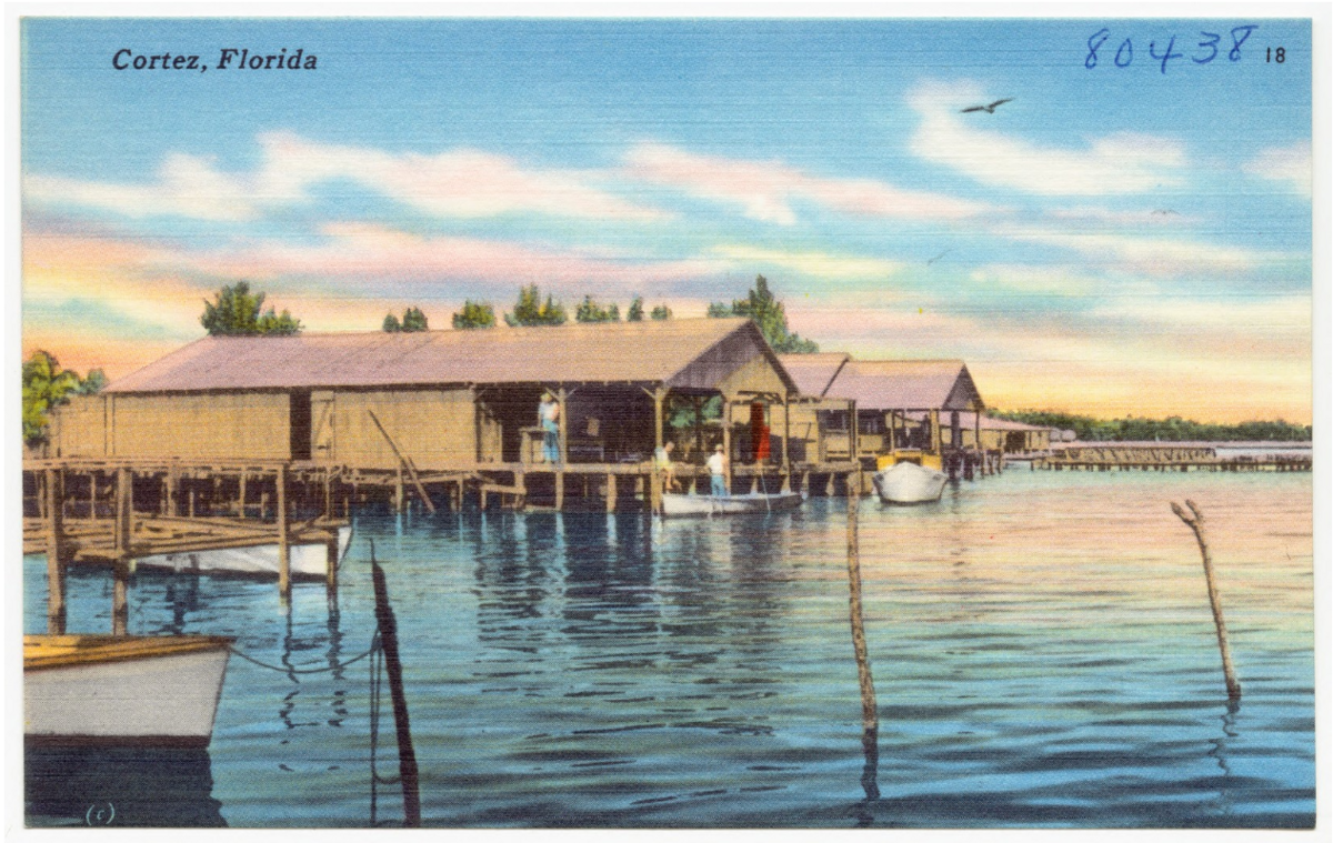 An early 1930s era postcard depicting the fishing village of Cortez.