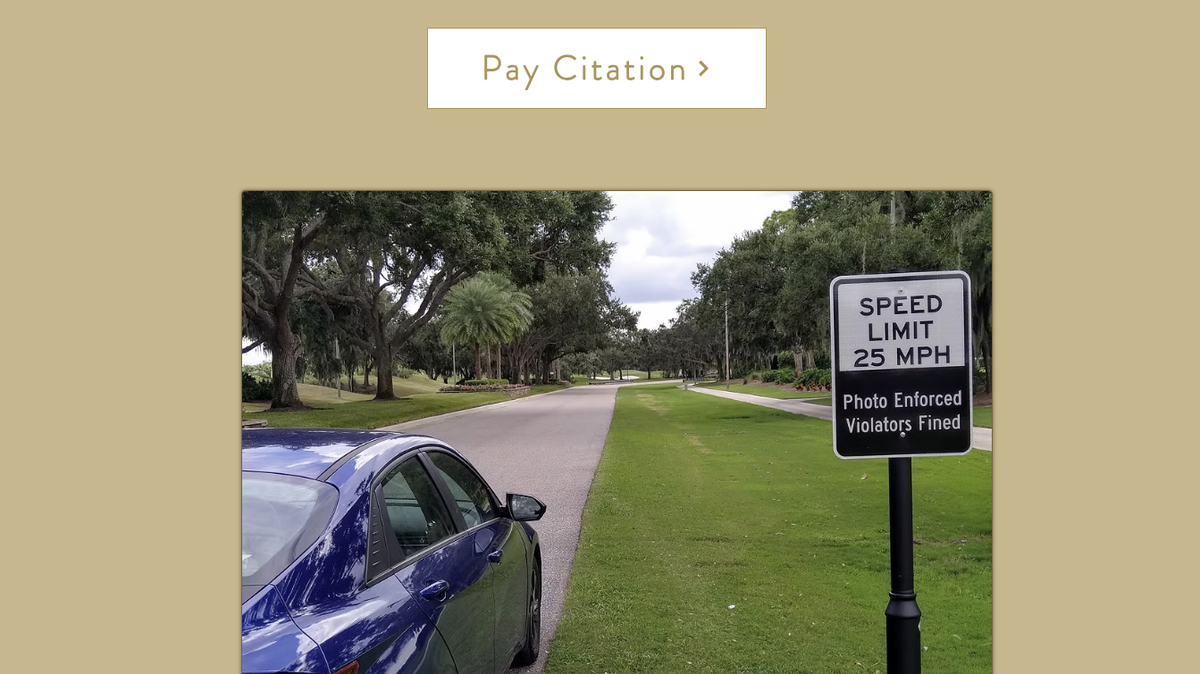 Laurel Oak fines as much as $200 per violation for speeding in its neighborhood.