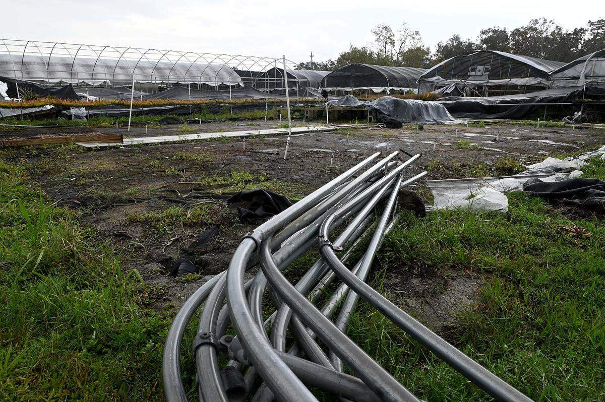 Small businesses in Manatee County impacted by Hurricane Ian will be able to receive in-person help applying for state and federal disaster loans. Dennis Cathcart, founder of Tropiflora, a major grower of bromeliads, says the grow-houses with all their plants were hit hard by Hurricane Ian, completely destroying seven structures and heavily damaging most of the rest.