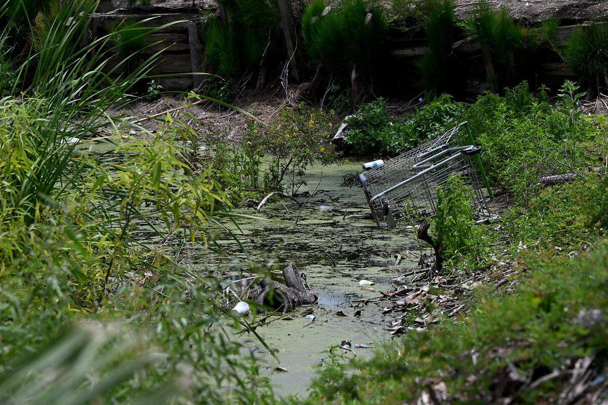 A lake beside Pic Town Estates Mobile Home Park is filled with garbage and trash where residents are worried about the level of violence and danger in their neighborhood following three homicides in the past month.
