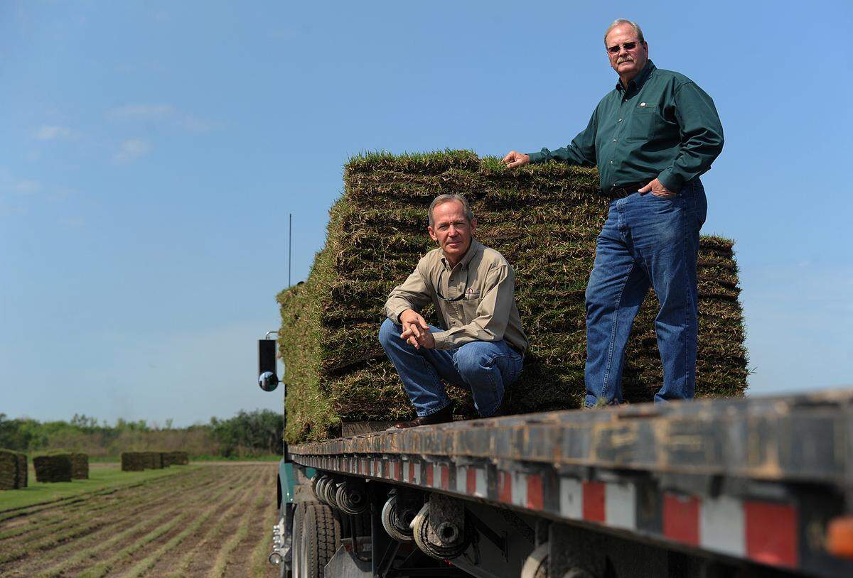 3/11/2014--Mac Carraway, then president of Schroeder Manatee Ranch Farms LLC , and turfgrass production manager Gary Bradshaw perch atop a partially loaded semi truck carrying Empire Zoysia sod in 2014.