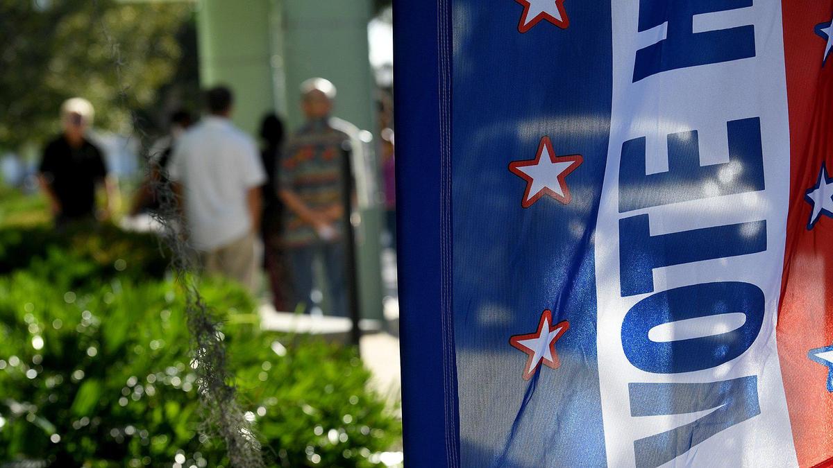 Voters line up outside the Palmetto Library for early voting.