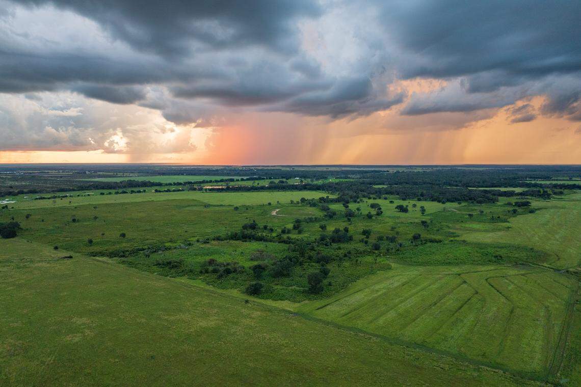 Florida officials have approved a 2,500-acre conservation easement at Bentley Ranch in Hardee County. Conservationists say it will protect the Peace River, an important drinking water source for Southwest Florida and Manatee County, and add a critical piece to the Florida Wildlife Corridor.
