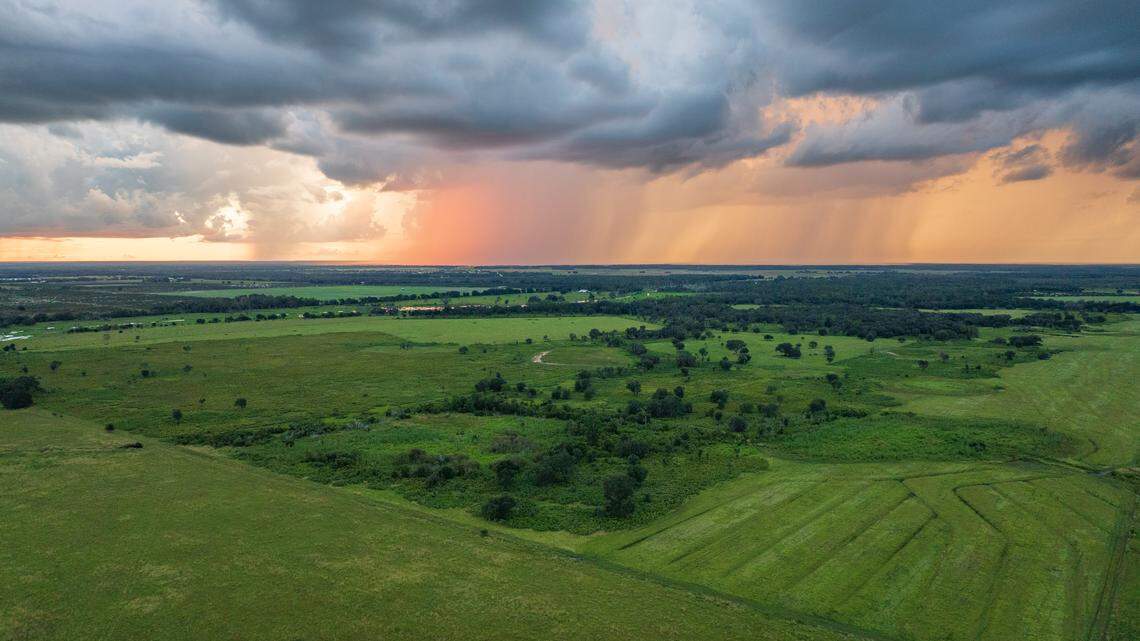Florida buys 2,500 acres to protect Manatee drinking water from development