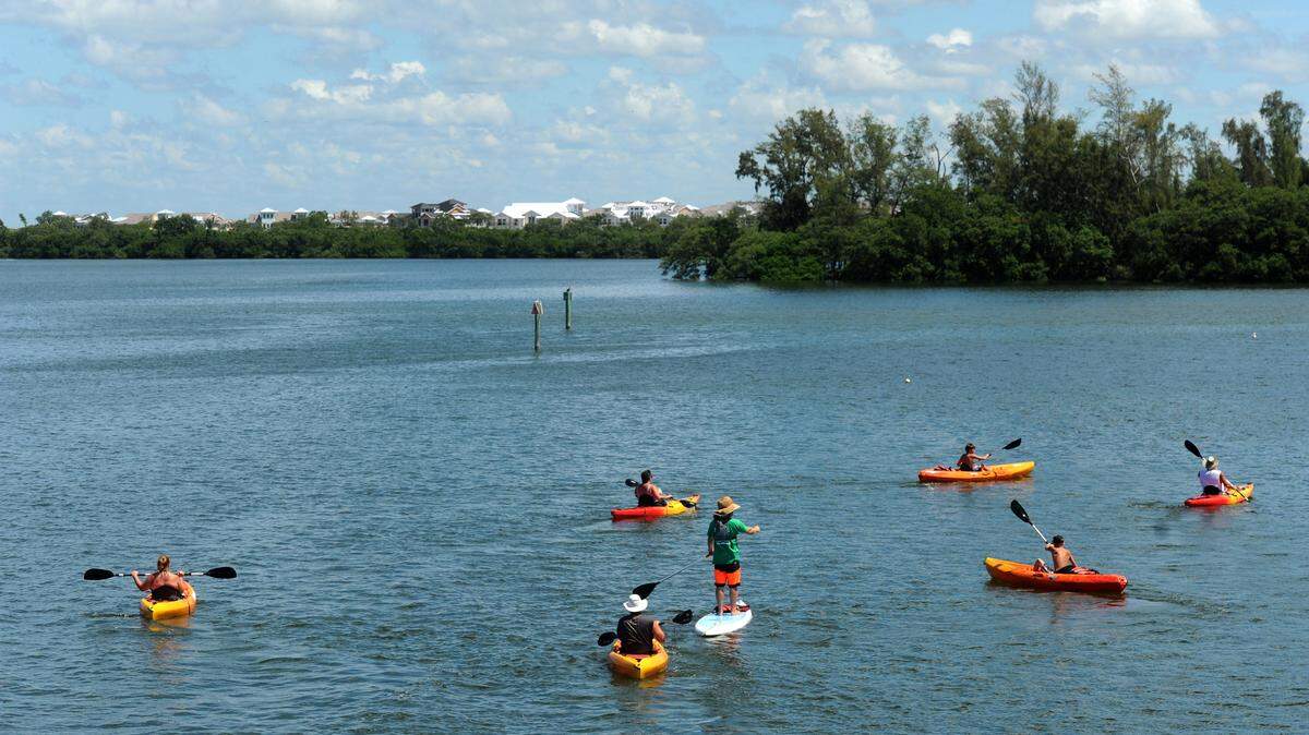Paddlers travel along the shores of Anna Maria Sound with the shoreline of the proposed Harbor Sound development in the background in this 2014 file photograph. Pat Neal is planning to develop a 40-acre parcel just beyond the mangrove tree line for his personal use and that of his family.File Photo-GRANT JEFFERIES/Bradenton Herald