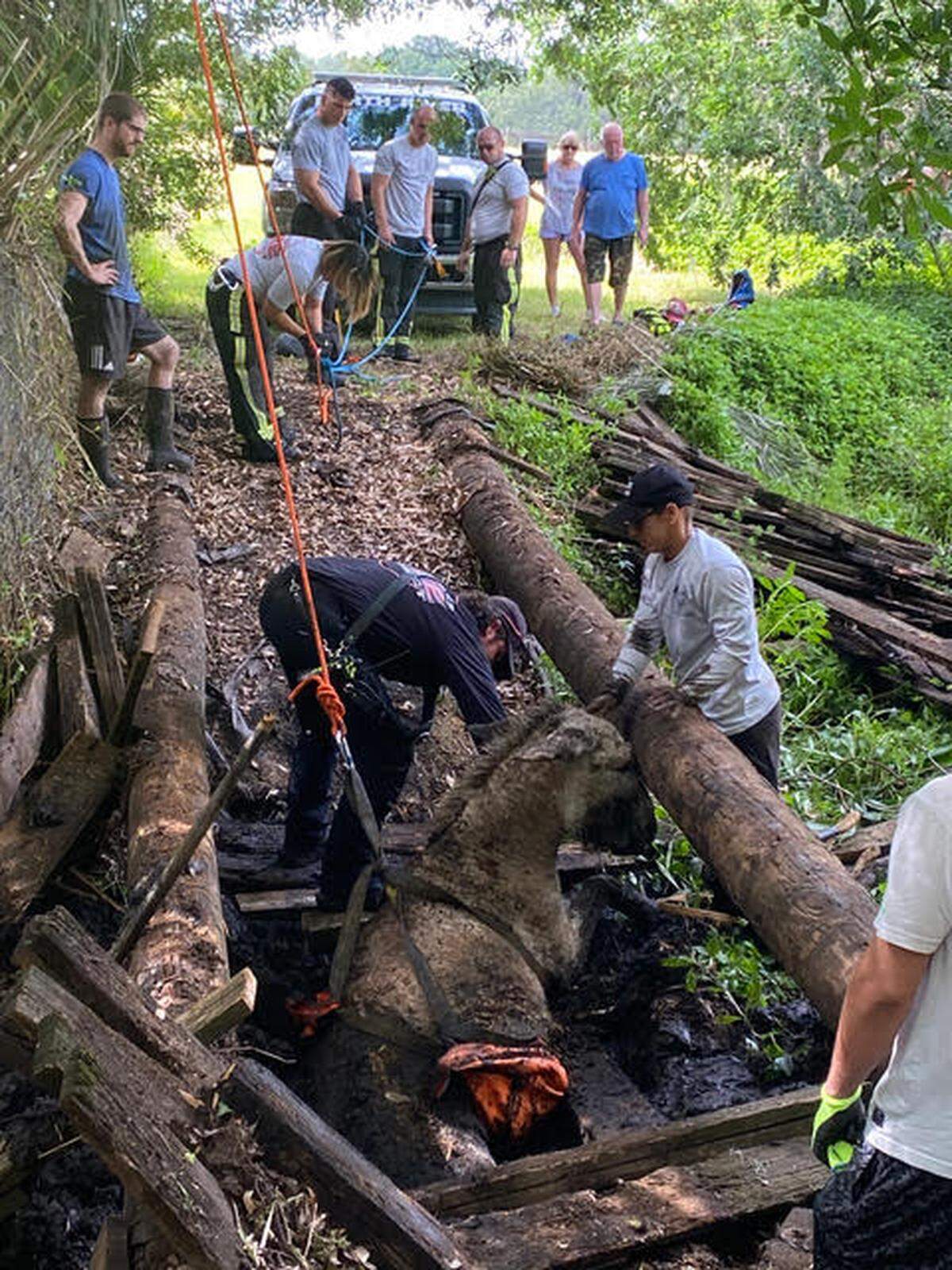 Cecil, a 400-500 lb donkey, was rescued by North River Fire’s Technical Rescue Team April 30, 2022.
