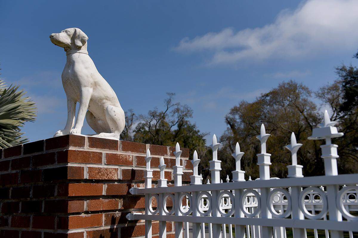 The city of Bradenton sent crews to contain a nearly 10,000-gallon sewage spill at Bradenton’s Bishop Animal Shelter on Saturday.