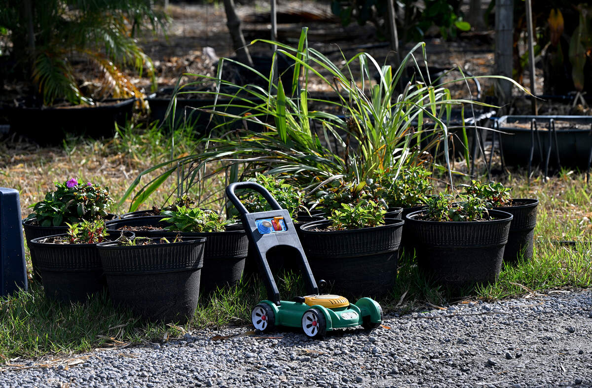 Toys dot the property at the Geraldson Farm. The small farm in northwest Bradenton suffered devastating losses from the stormwater surge in Hurricane Helene. The family has been farming since the 1960s.