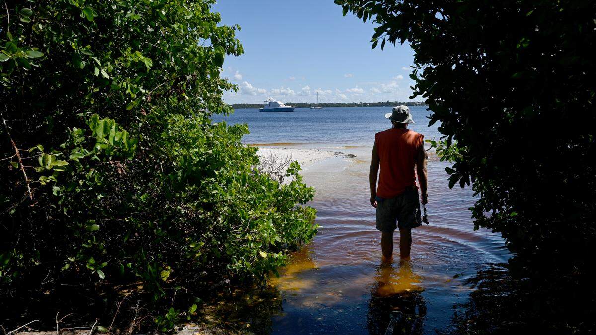 Water quality advocates are warning locals and visitors not to swim in some Bradenton-area waters like Manatee River near the DeSoto National Monument after major sewage spills following Hurricane Debby and summer rains.