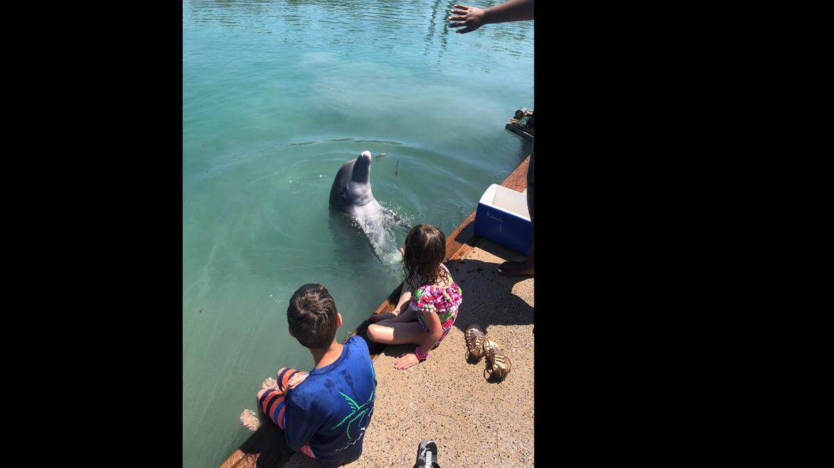 Pastor Geoff Henderson and his family enjoyed a unique dolphin encounter during a recent cruise to the Bahamas.