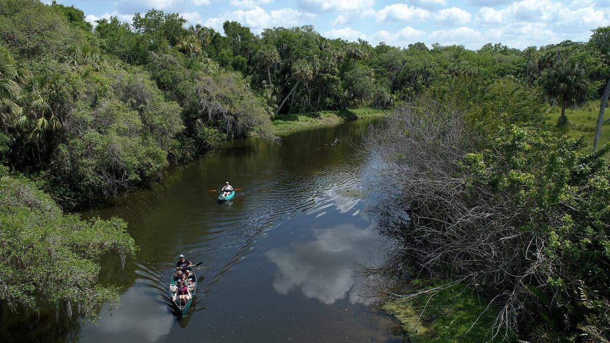 04/06/21--Canoers paddle on the waterway of Frog Creek just south of Piney Point in Palmetto where millions of gallons of contaminated water have been released into Tampa Bay.