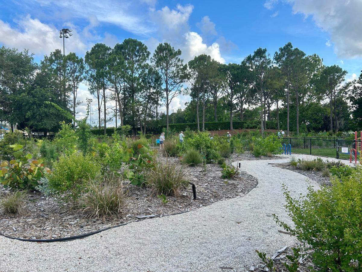 The Heritage Harbor Playground Microforest sits right next to the playground at Heritage Harbor Park.