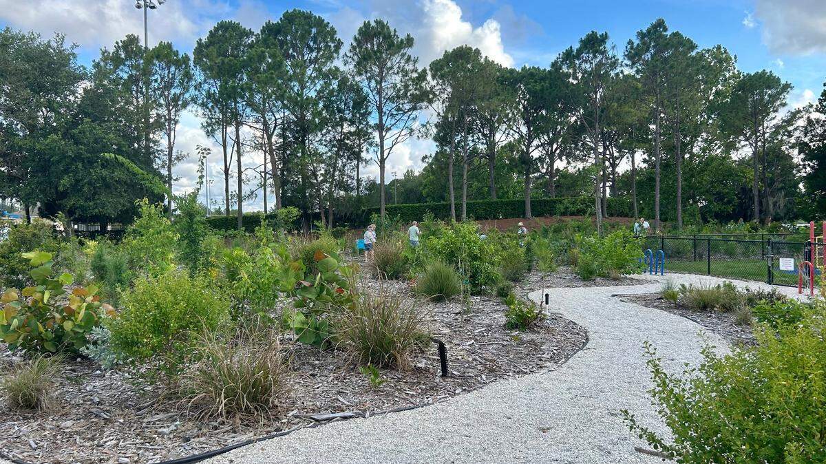 The Heritage Harbor Playground Microforest sits right next to the playground at Heritage Harbor Park.