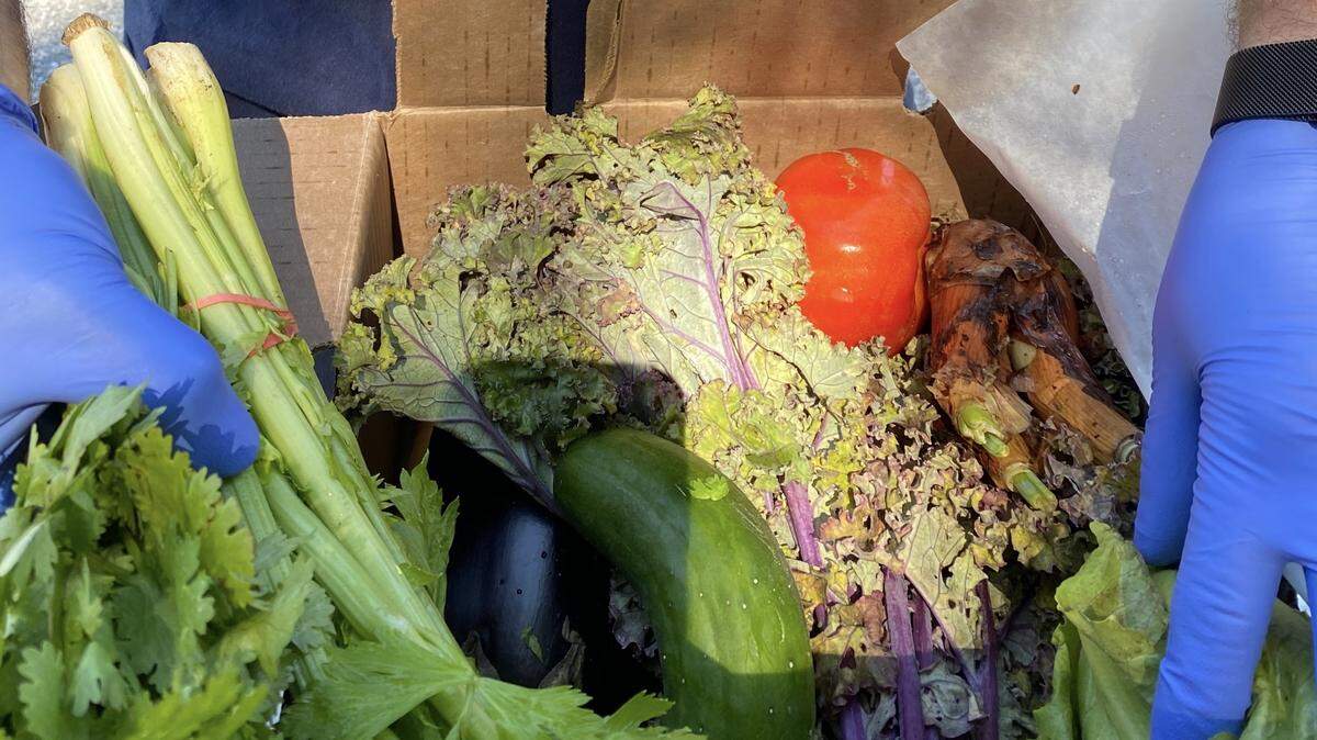 Meals on Wheels PLUS of Manatee has been providing thousands of meals each week during the coronavirus pandemic to help feed students and their families.