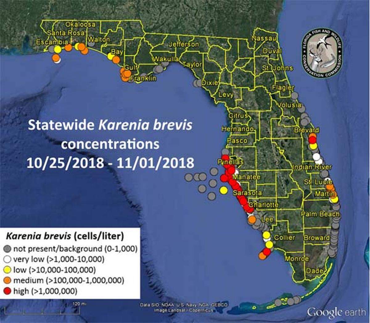 A map of red tide levels as of November 2, 2018.