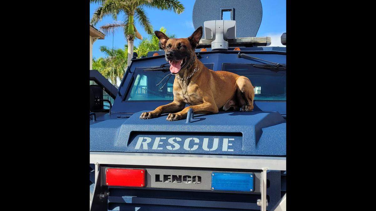 K9 Drax died on Tuesday morning alongside Officer Brandon Smolarz, his “partner and best friend,” Bradenton Police Department said.