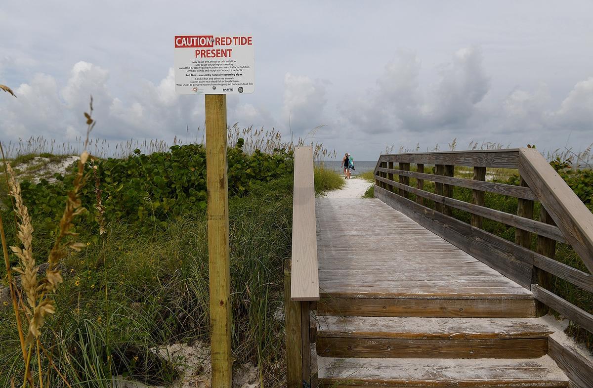 A sign warns visitors of the presence of red tide on Cortez Beach, Anna Maria Island, Tuesday.